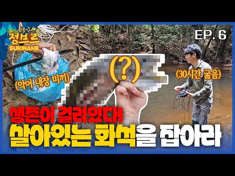 [수리남 시즌2.ep6] 아마존 계곡의 최상위포식자 <strong>xxxx을</strong> 잡아서 먹어보자! 물리면 끝..