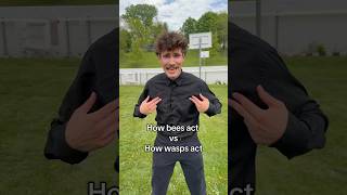 Bees vs Wasps