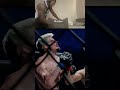 Sleep Talk: UFC Edition #shorts