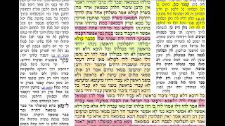 דף יומי מסכת פסחים דף פ Daf yomi Pesachim daf 80 שמואל נבון