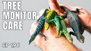 Tree Monitor Masterclass: Species Variation, Keeping & Breeding | Canadian Coldblood