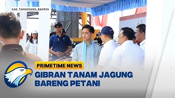 Wapres Gibran Gandeng Petani, Tanam Jagung di Tengah Sawah - [Primetime News]