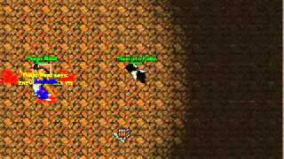 Bot Foxworld Sv 2