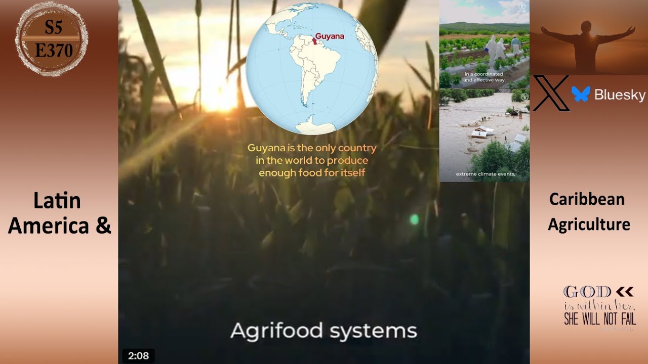 S5E370 APTS | Сельское хозяйство Латинской Америки и Карибского бассейна