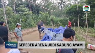 GEREBEK ARENA JUDI SABUNG AYAM