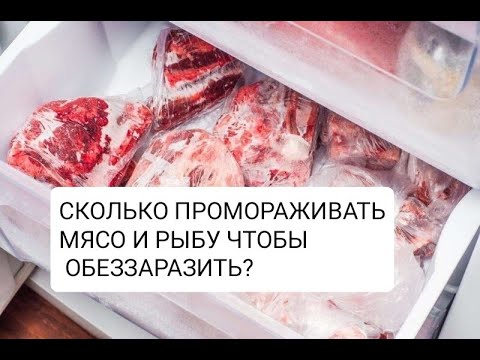 СКОЛЬКО ПРОМОРАЖИВАТЬ  РЫБУ 🐟 И МЯСО 🥩 ЧТОБЫ ЕГО ОБЕЗЗАРАЗИТЬ?