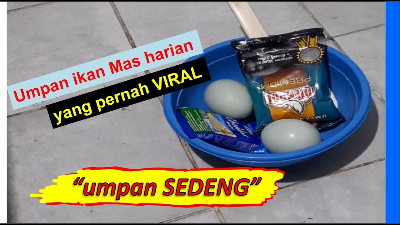 Umpan ikan mas viral, umpan SEDENG kang Ito ( # 2 )