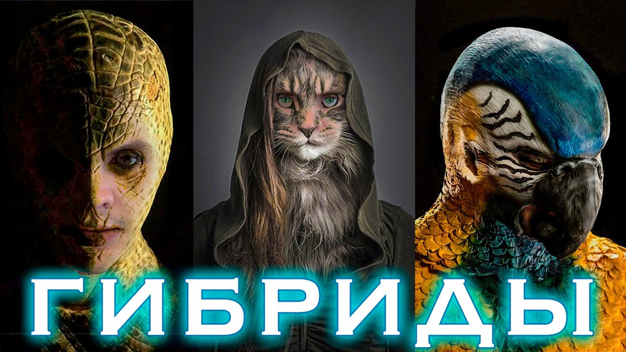 Гибриды людей и животных уже созданы? Какие они? - YouTube
Гибриды Людей и Животных