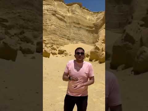 هي الفيوم فعلا بلد الكتاكيت