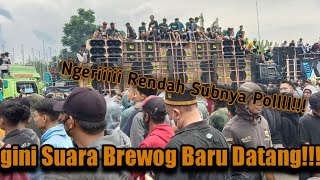 Begini Suara Brewog  Baru Datang Di Lapangan Sumbersewu