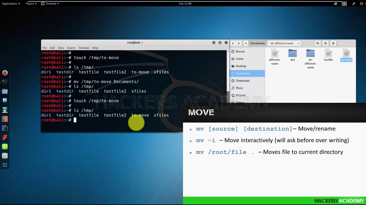 Kali linux kde. Kali linux папка. kali linux хакер. kde plasma kali linux.
