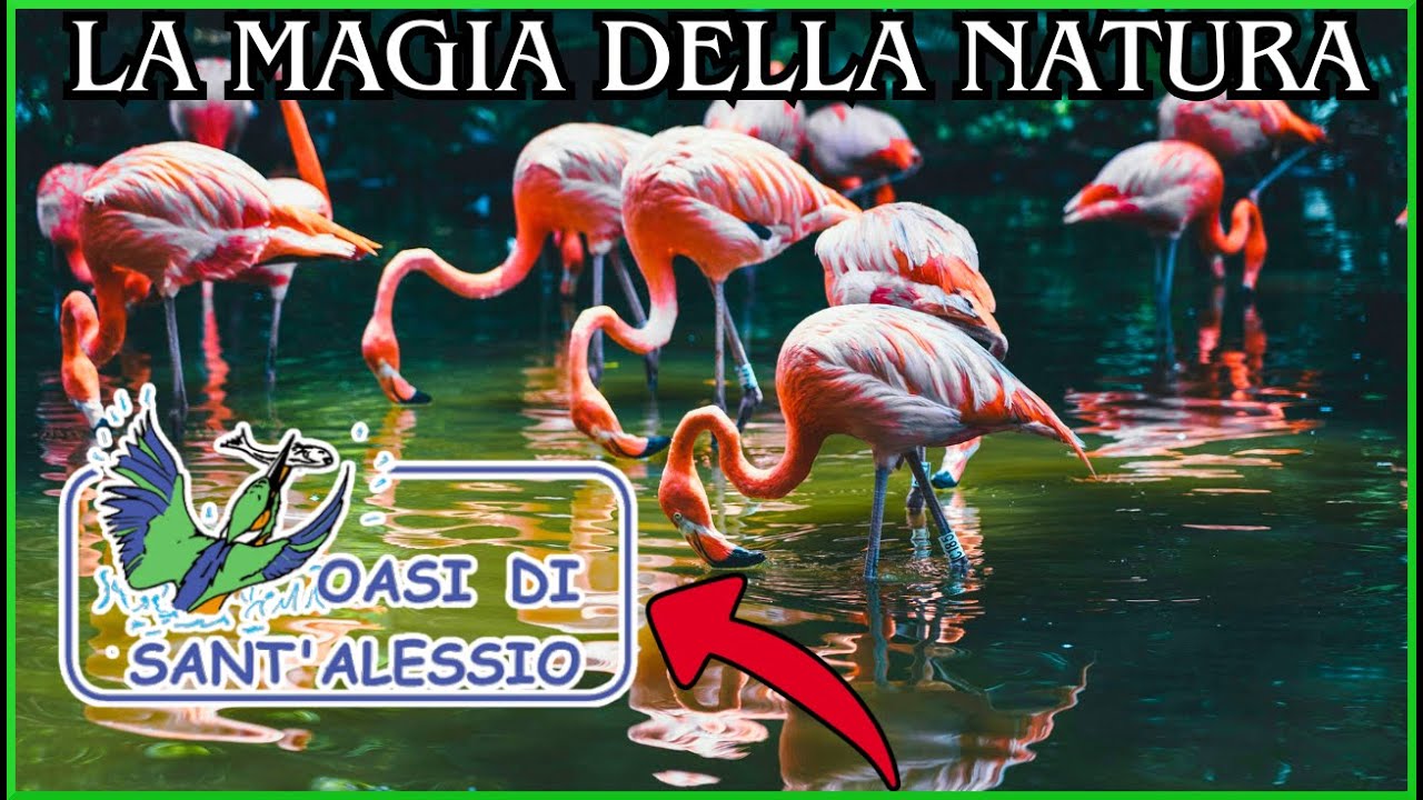 L'OASI DI SANT'ALESSIO COME NON L'HAI MAI VISTA. IL PARADISO NATURALE DI PAVIA. TOUR 2025
