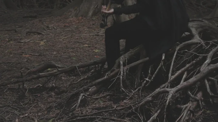 Laurel Premo: "The Brushy Fork of John's Creek" (O...