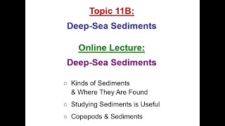 11B: Deep-Sea Sediments