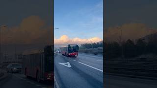 Vilniaus Viešasis Transportas