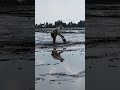 Bác nông dân, hốt đất kéo gò