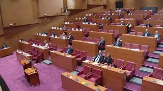 Dušica Radojčić O Najavljenim Rokovima I Procesu Izdavanja Građevinskih Dozvola