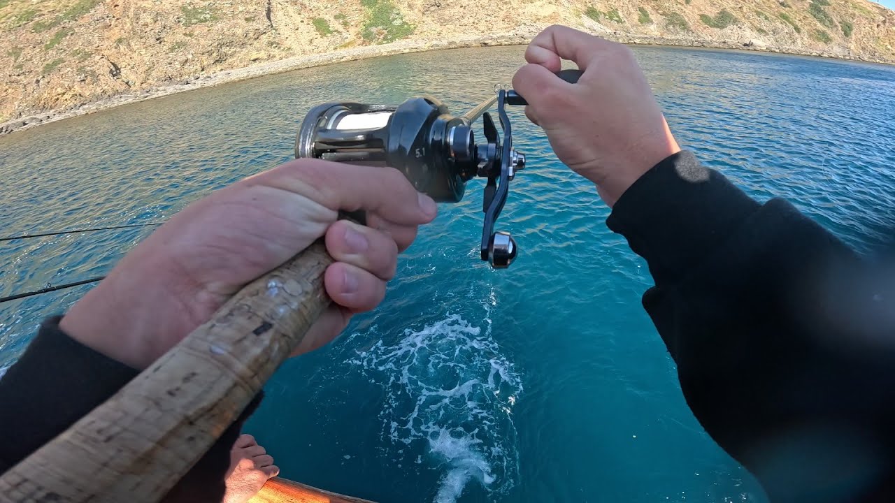 Huge Yellowtail and Bass Fishing at San Clemente Island | Thunderbird Sportfishing, Newport Beach CA