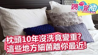 枕頭10年沒洗重量增加1/3？細菌離你最近的3大地方？！媽媽好神 20181002 part3/4 EP323 趙小僑 陳映如