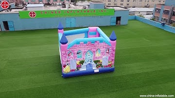 Disney Princess Theme inflatable bouncer from Chinee inflatables T2-510