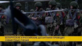 Совместное учение белорусских и российских десантников развернулось под Брестом Совместное учение белорусских и российских десантников развернулось под Брестом