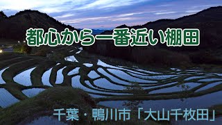 秋、みんなで収穫 祈る日々　千葉・鴨川市「大山千枚田」