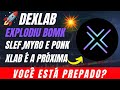 DEXLAB (XLAB) LANÇOU $BONK $MYRO, $SLERF E $PONKE , XLAB É A PROXIMA A EXPLODIR?