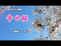 『幸せ桜』小桜舞子 カバー 2021年12月15日発売