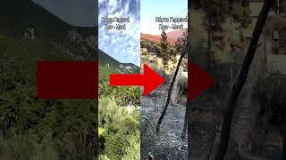 ΠΡΙΝ ΚΑΙ ΜΕΤΑ τον Μητσοτάκη