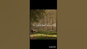 جمعه مباركه عليكم🫶#قران_كريم#تلاوة#سورة_البقرة##سورة_الكهف#اجر_لي_ولكم