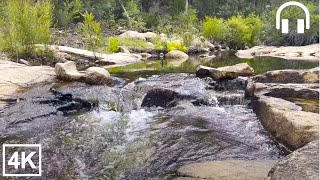 Relax by the river flow in Waterfall Creek Rock Pools, Australia