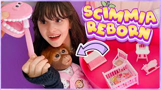 Unboxing Temu con Reborn Scimmia, gioco dentista e mini cameretta!