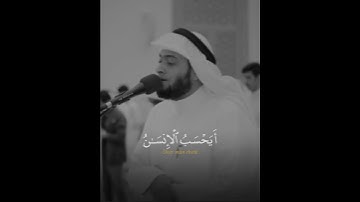 تلاوه خاشعه للقارئ احمد النفيس حالات واتس اب♥♥♥.