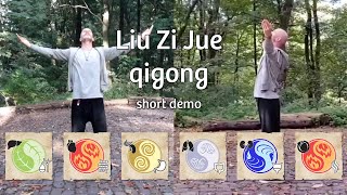 Liu Zi Jue (6 healing sounds) qigong demo in short | by @NieuweDagNL