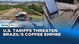 Brazil’s Coffee in Trouble, U.S. Tariff Hits Hard