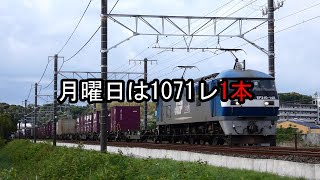 JR貨物 2023/04/24 貨物列車1071レの1本 大谷川踏切