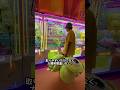 今年SNSで一番バズったゲーセンに行った結果wwww #shorts #クレーンゲーム #ufoキャッチャー#ゲーセン #ゲームセンター #arcade #clawmachine #日本夾娃娃