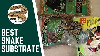 Best Snake Substrate?