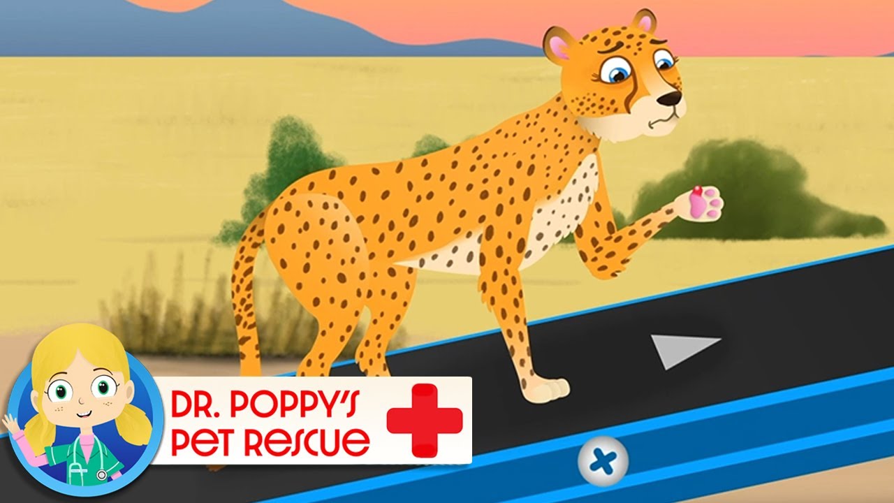 Asha the Cheetah | Doctor Poppy - Animals For Kids | Cartoon Animals
