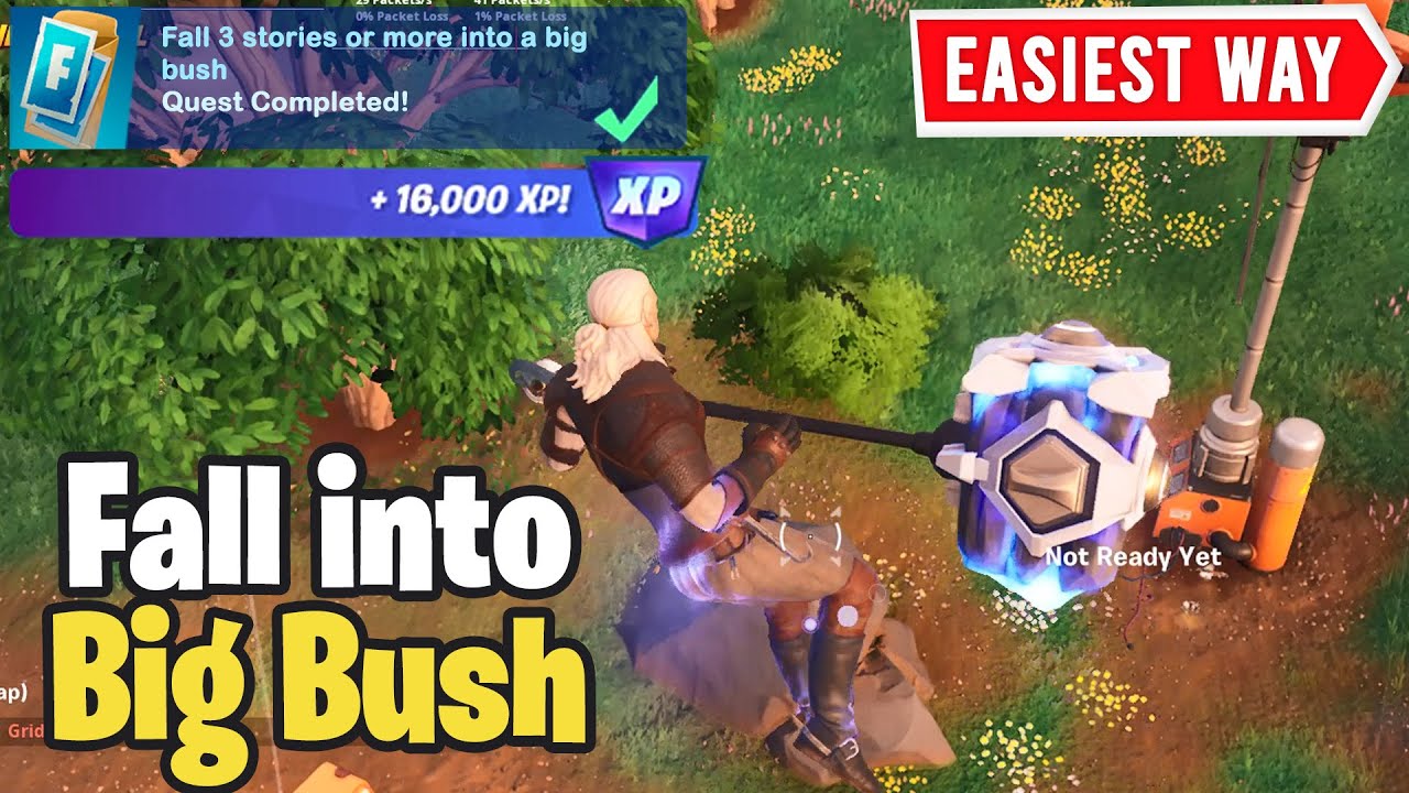 Fall 3 Stories Or More Into A Big Bush