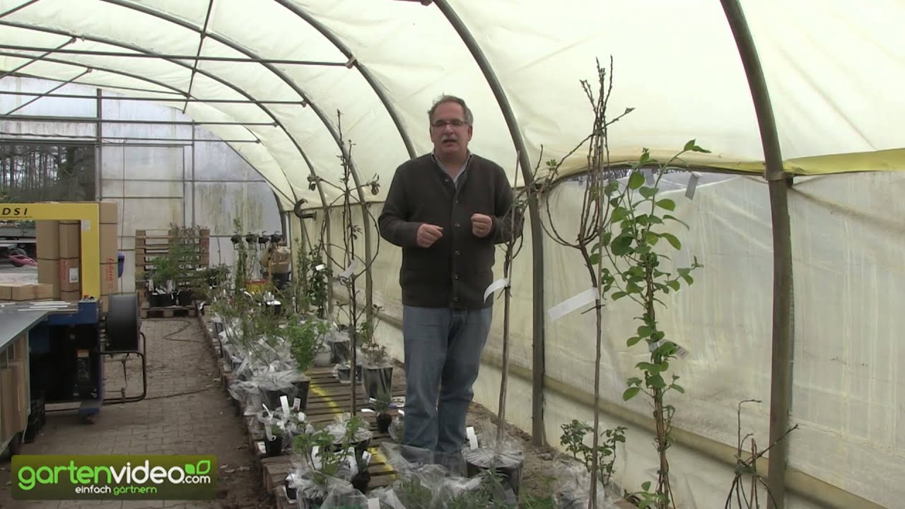 Lubera: Vorteile für österreichische Kunden