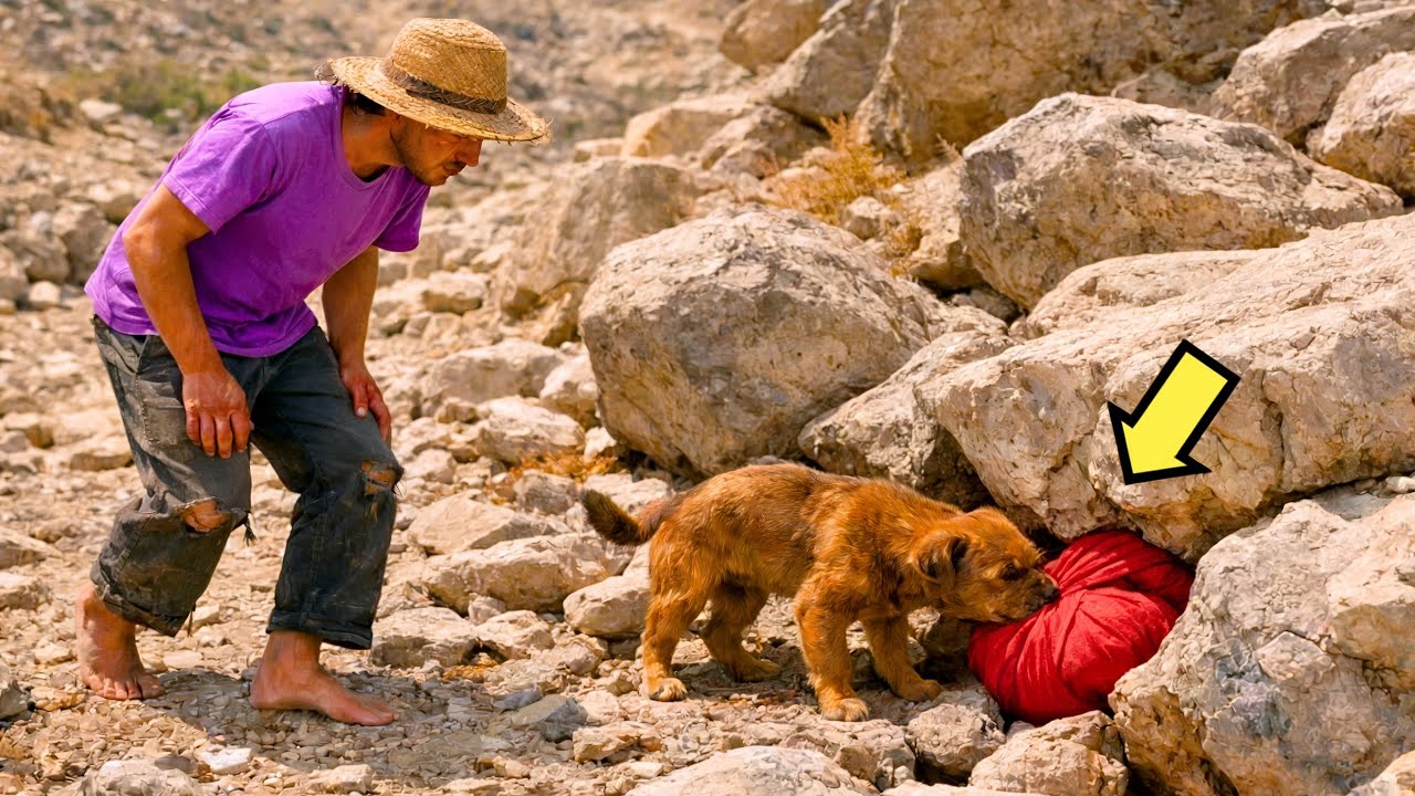 HA EREDITATO SOLO UN TERRENO ROCCIOSO… MA QUELLO CHE C'ERA SOTTO LE PIETRE SCIOCCA