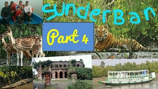 Sunderban Trip Part-4 #Mangrove Forests Trip #Creativity Stands Here