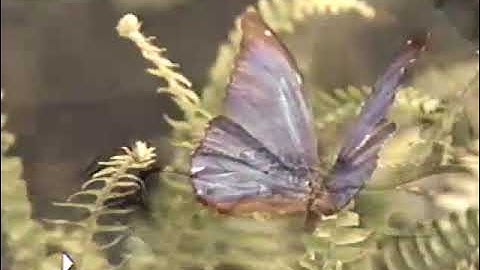 Imagination Island (2001 Version) Part 20