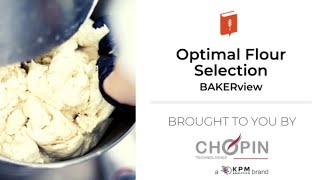 How to Pick the Right Flour for Your Cookies or Bread