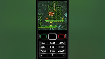 Funky Monkey Java Game Stage 2