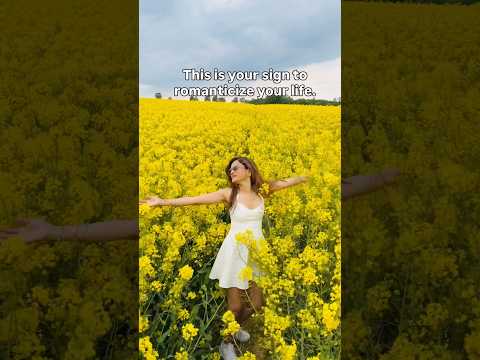 Yellow fields DDLJ in Germany| Hamburg #bollywood #germany #youtubeshorts #studyingermany