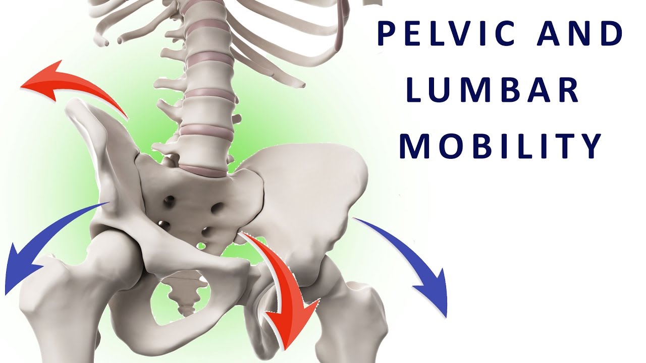 Moving your pelvis - how to mobilize the lumbar spine and coordinate