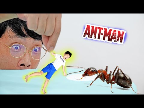 앤트맨 숨바꼭질 놀이 Ant <strong>Man</strong> Pretend <strong>Play</strong> with Hide and Seek