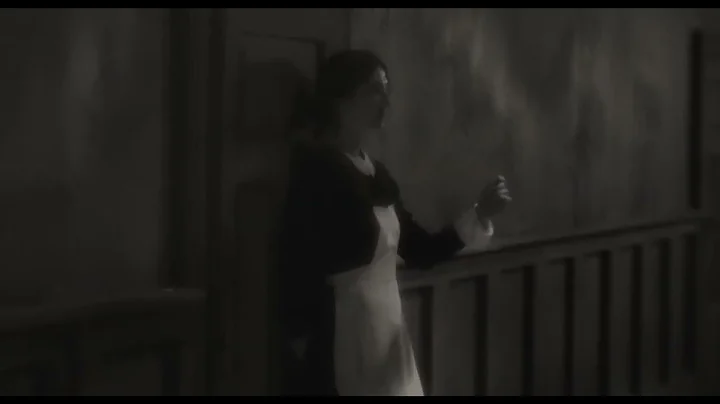 Trailer de Sanatorium pod Klepsydrą — Sanatorium under the Sign of the Hourglass sub en español (HD)